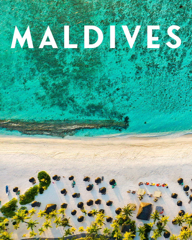 Chefs preparing food